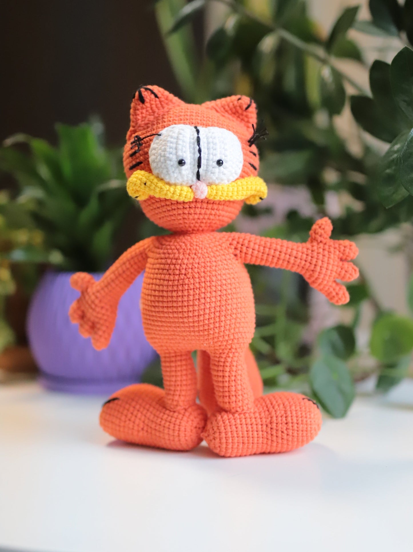 Orange Cat