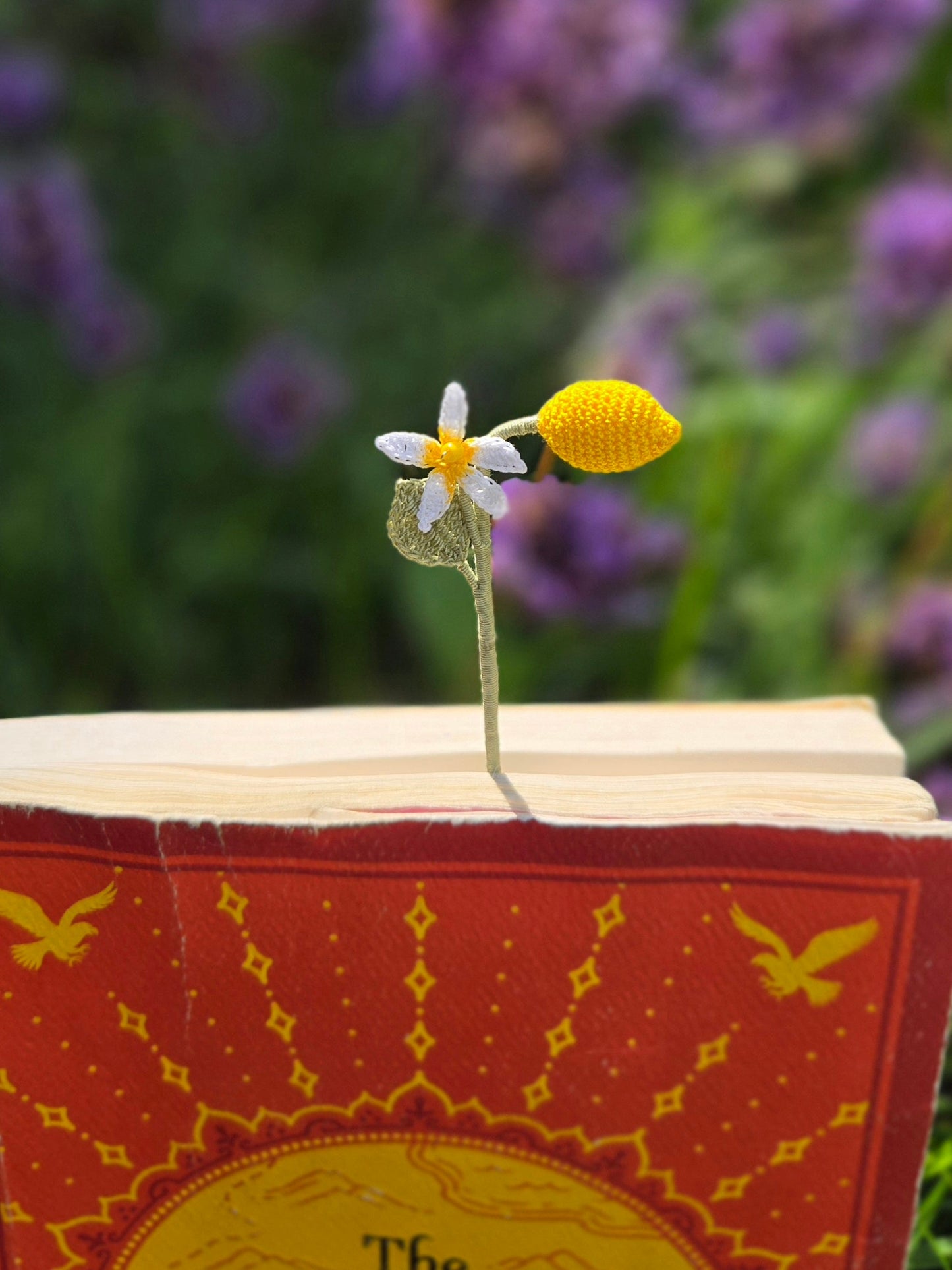 Fruit bookmark